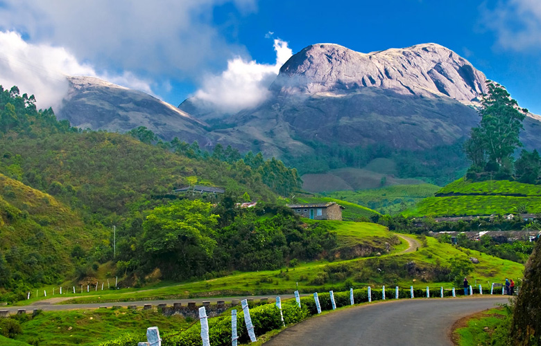 Munnar & Thekkady Tour